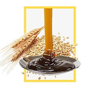 Barley Malt suppliers | Malted Milk Food